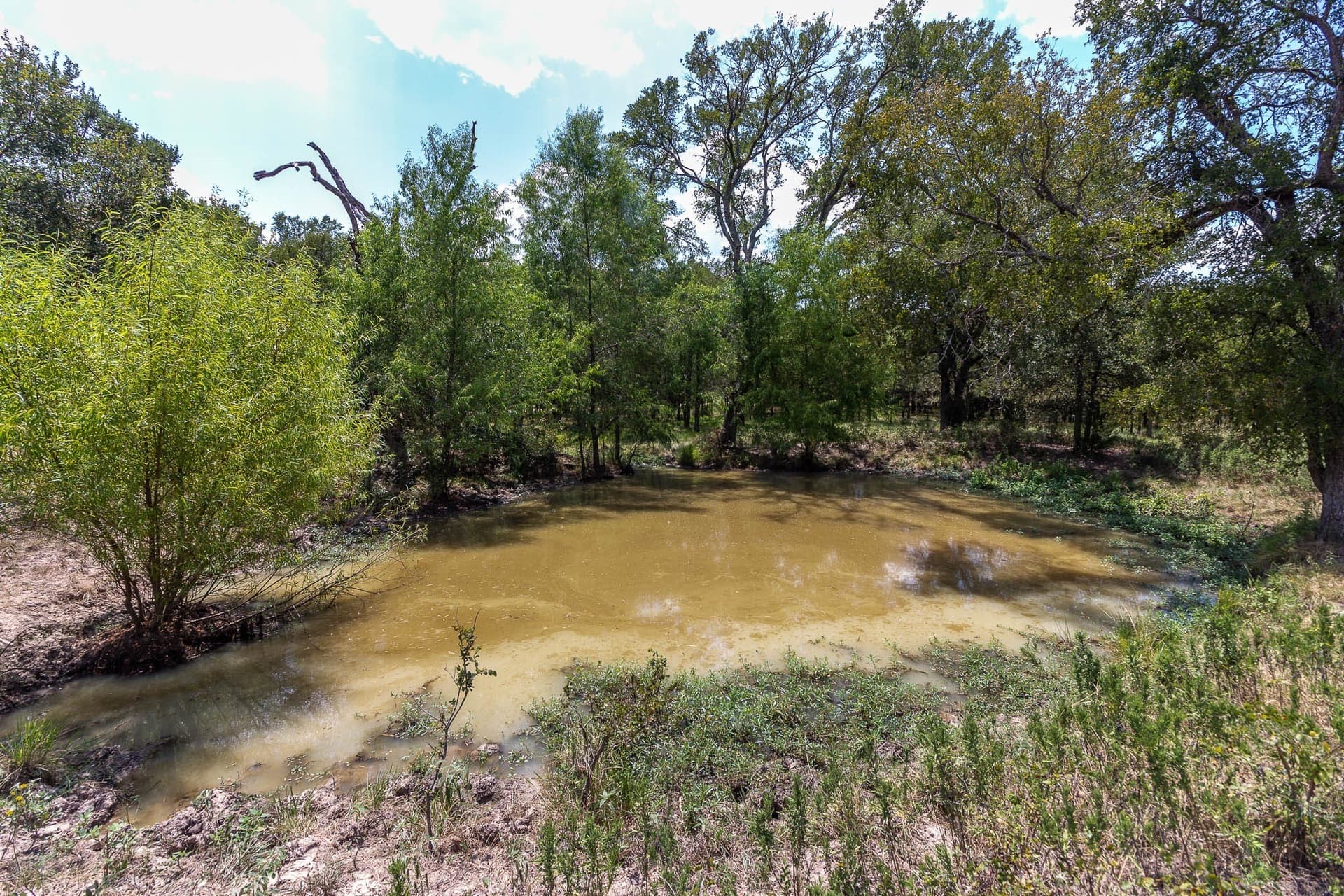 23.61 acres in Kaufman County - photo 11