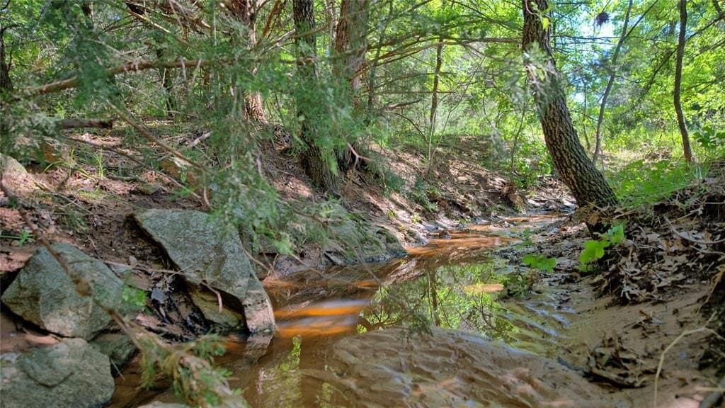 10.5 acres in Wise County gallery image 3