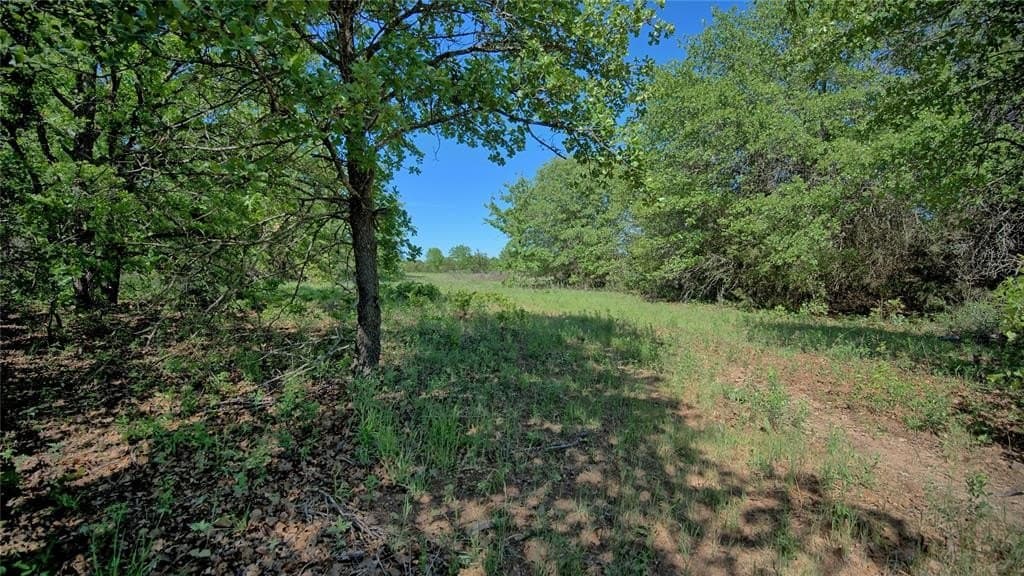 10.5 acres in Wise County gallery image 2