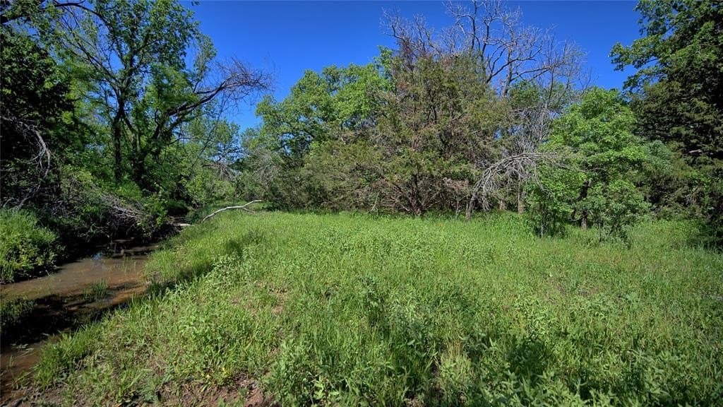 10.5 acres in Wise County