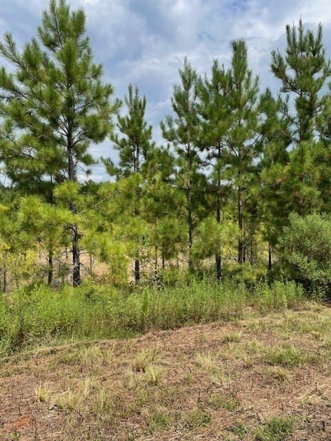 52.44 acres in Texas County gallery image 3