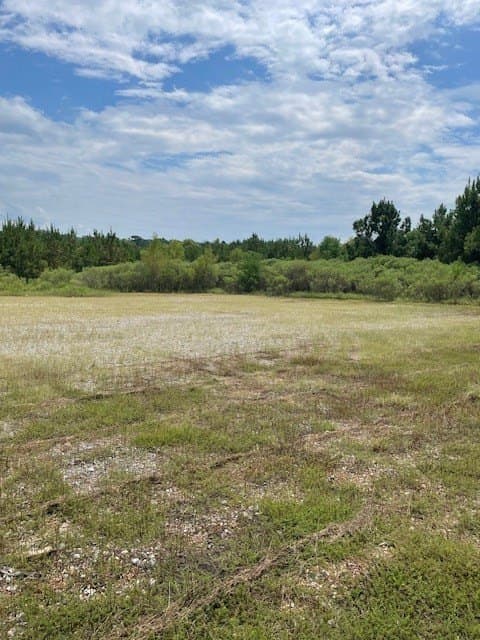 52.44 acres in Texas County gallery image 4