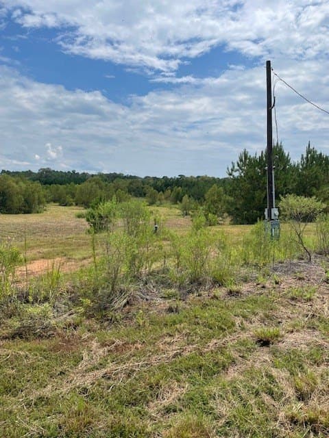 52.44 acres in Texas County featured view