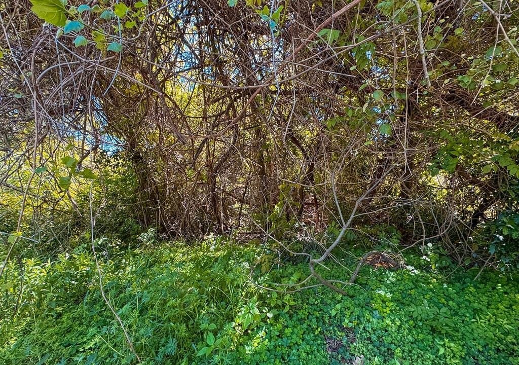 0.11 acres in ANDERSON County gallery image 3