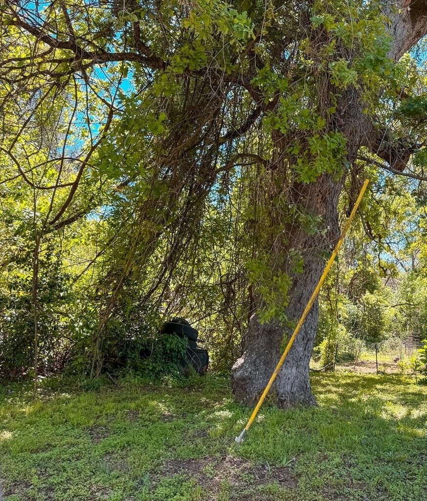 0.11 acres in ANDERSON County gallery image 4