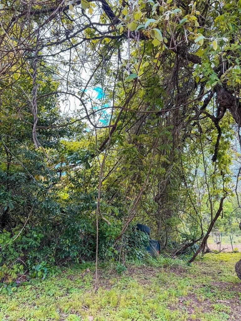 0.11 acres in ANDERSON County gallery image 2