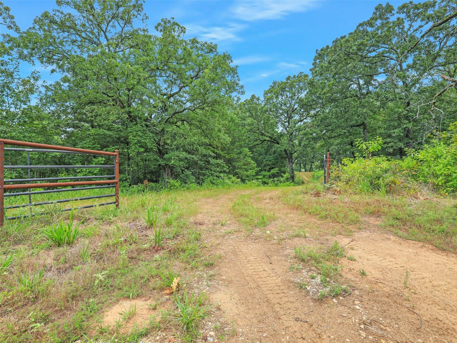 35.12 acres in Lamar County featured view