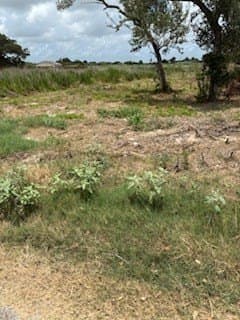 0 acres in Texas County gallery image 3