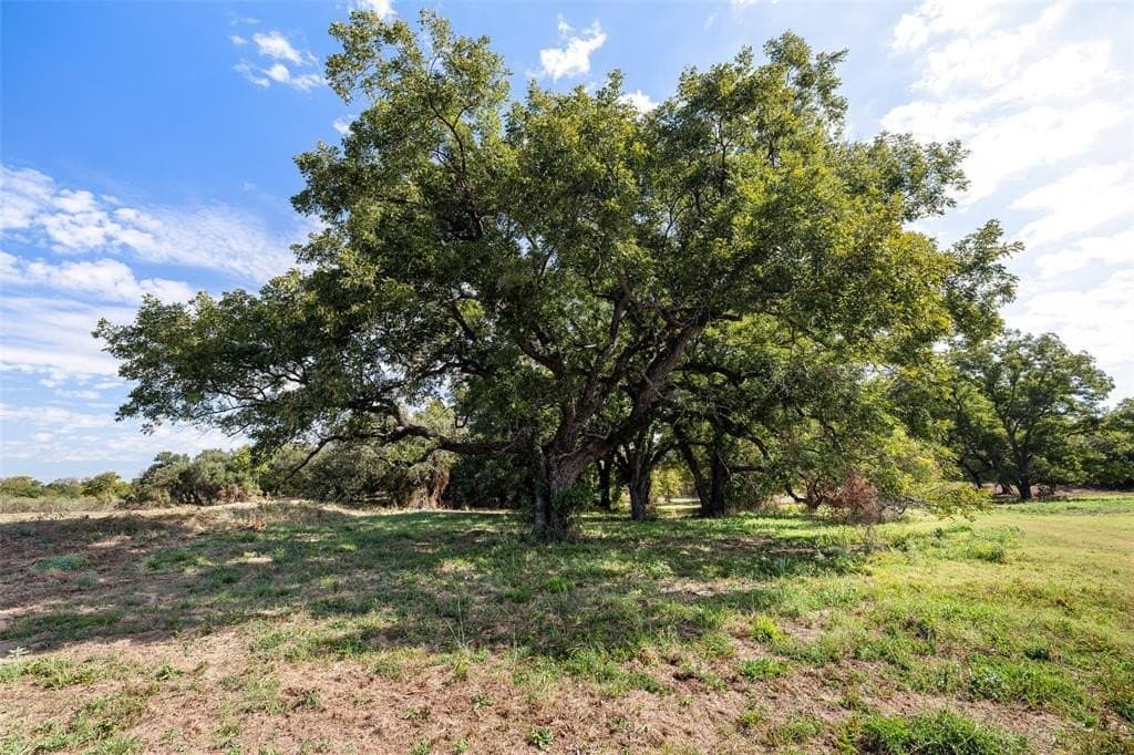 17.4 acres in Hood County gallery image 4
