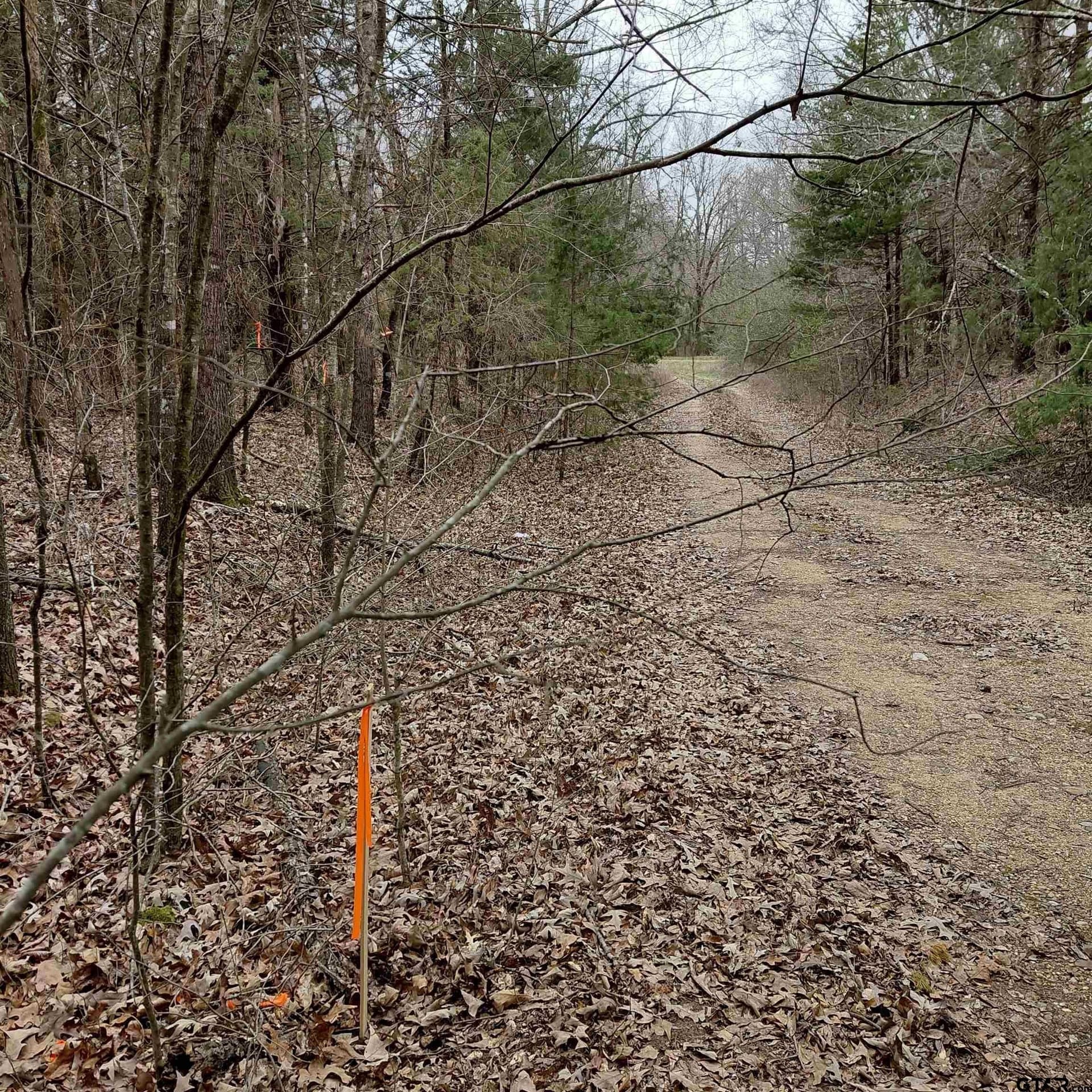 46.6 acres in Bowie County gallery image 2