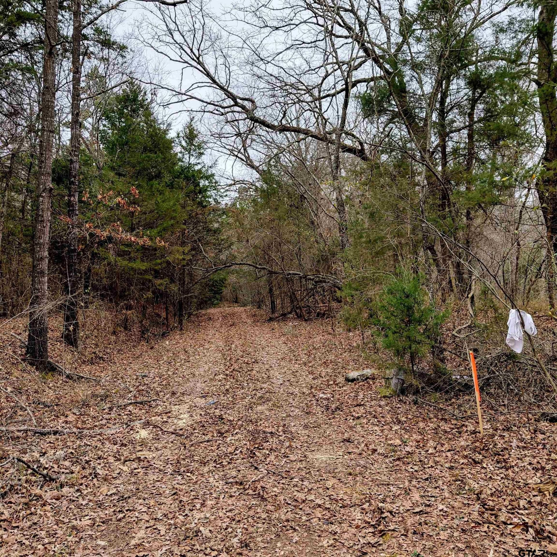 46.6 acres in Bowie County