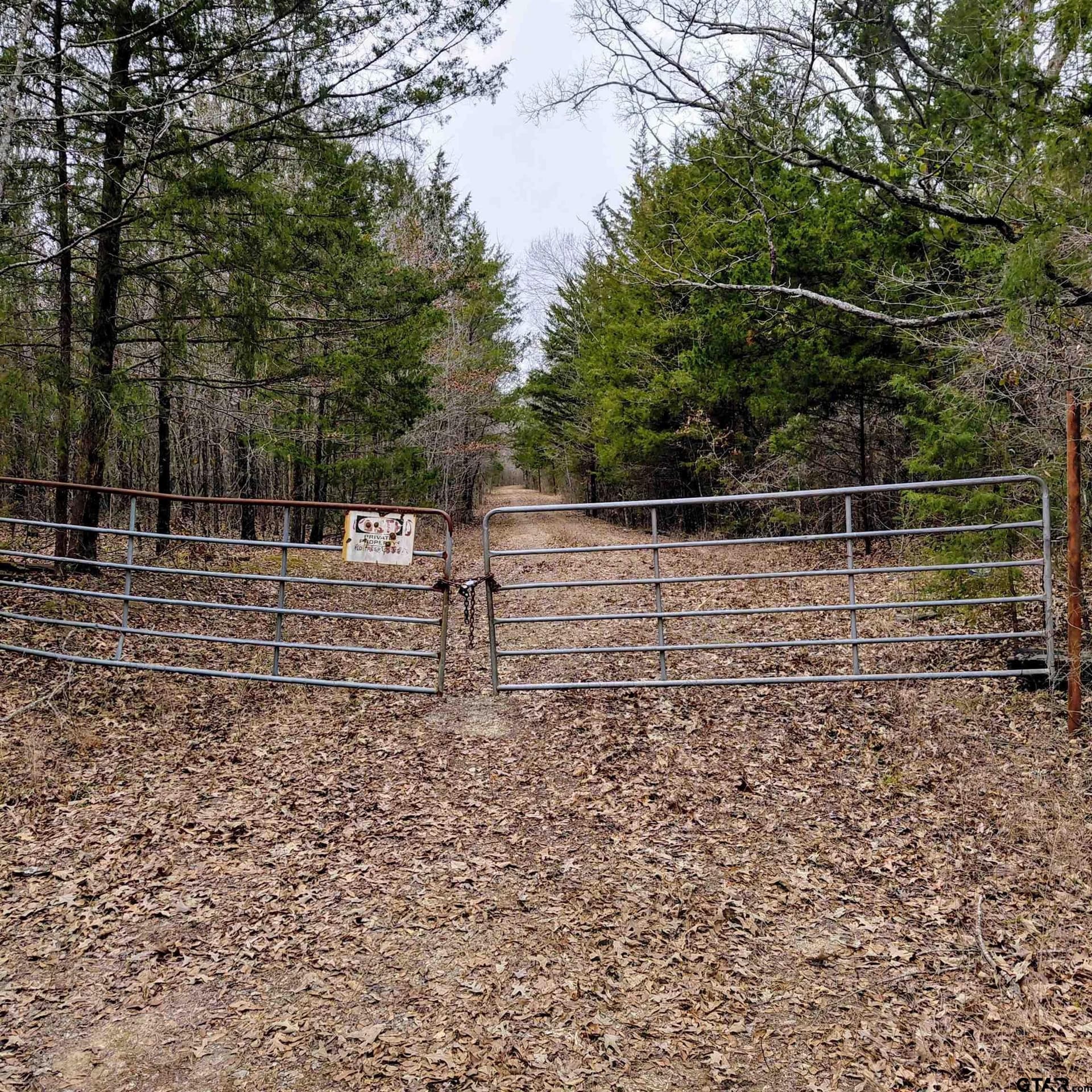 46.6 acres in Bowie County gallery image 3