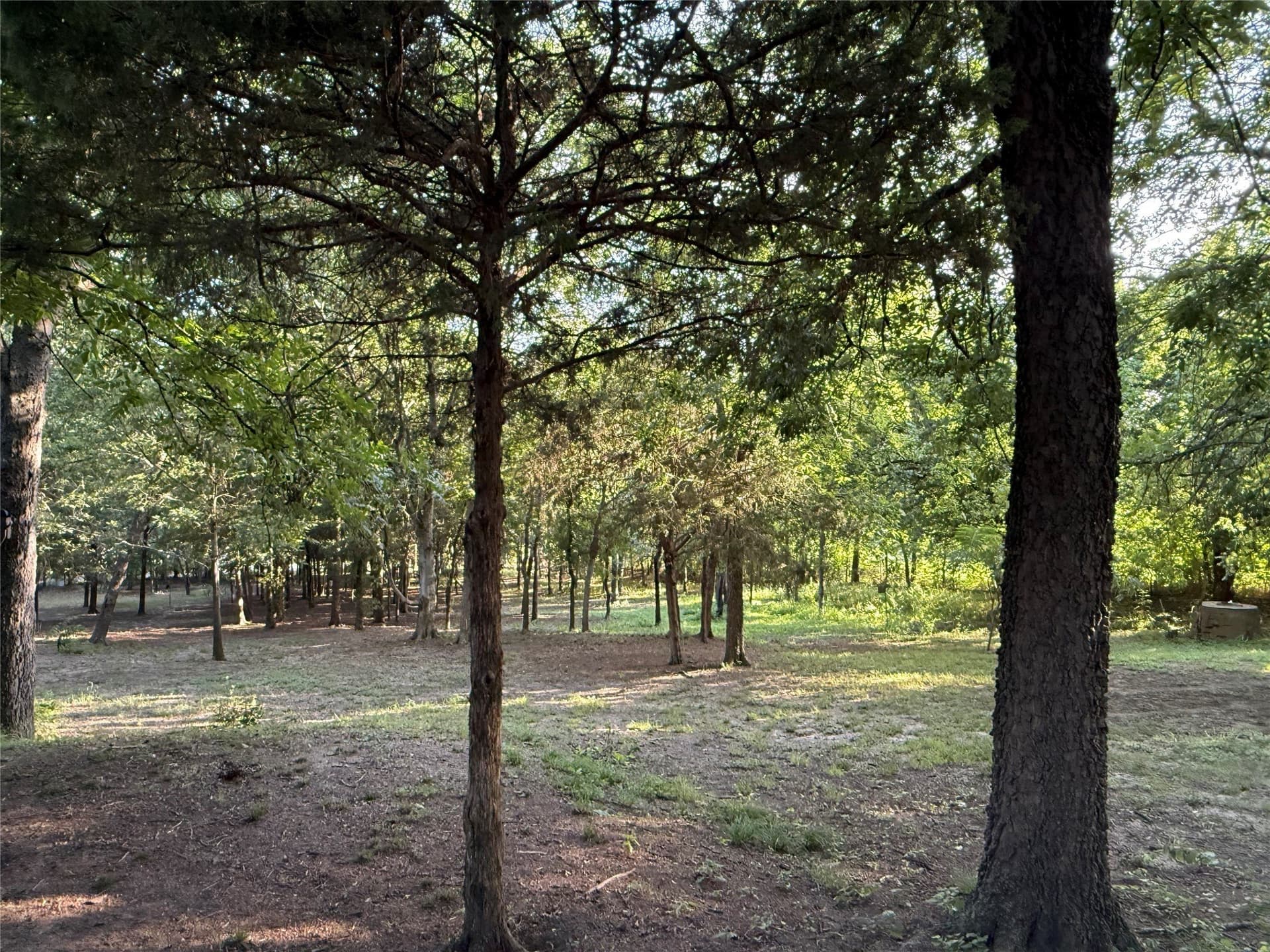 3.65 acres in Collin County - photo 11