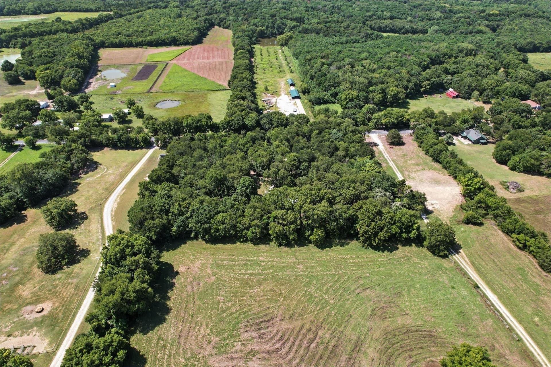 3.65 acres in Collin County - photo 6
