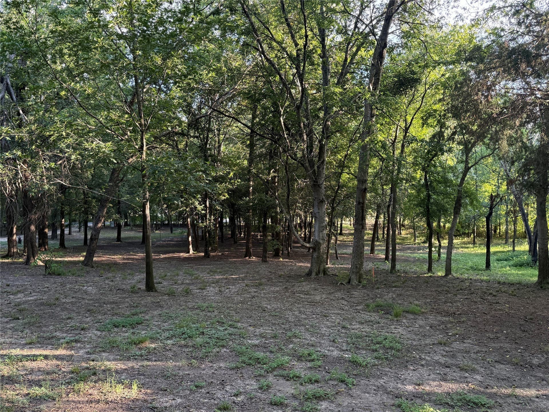 3.65 acres in Collin County - photo 12