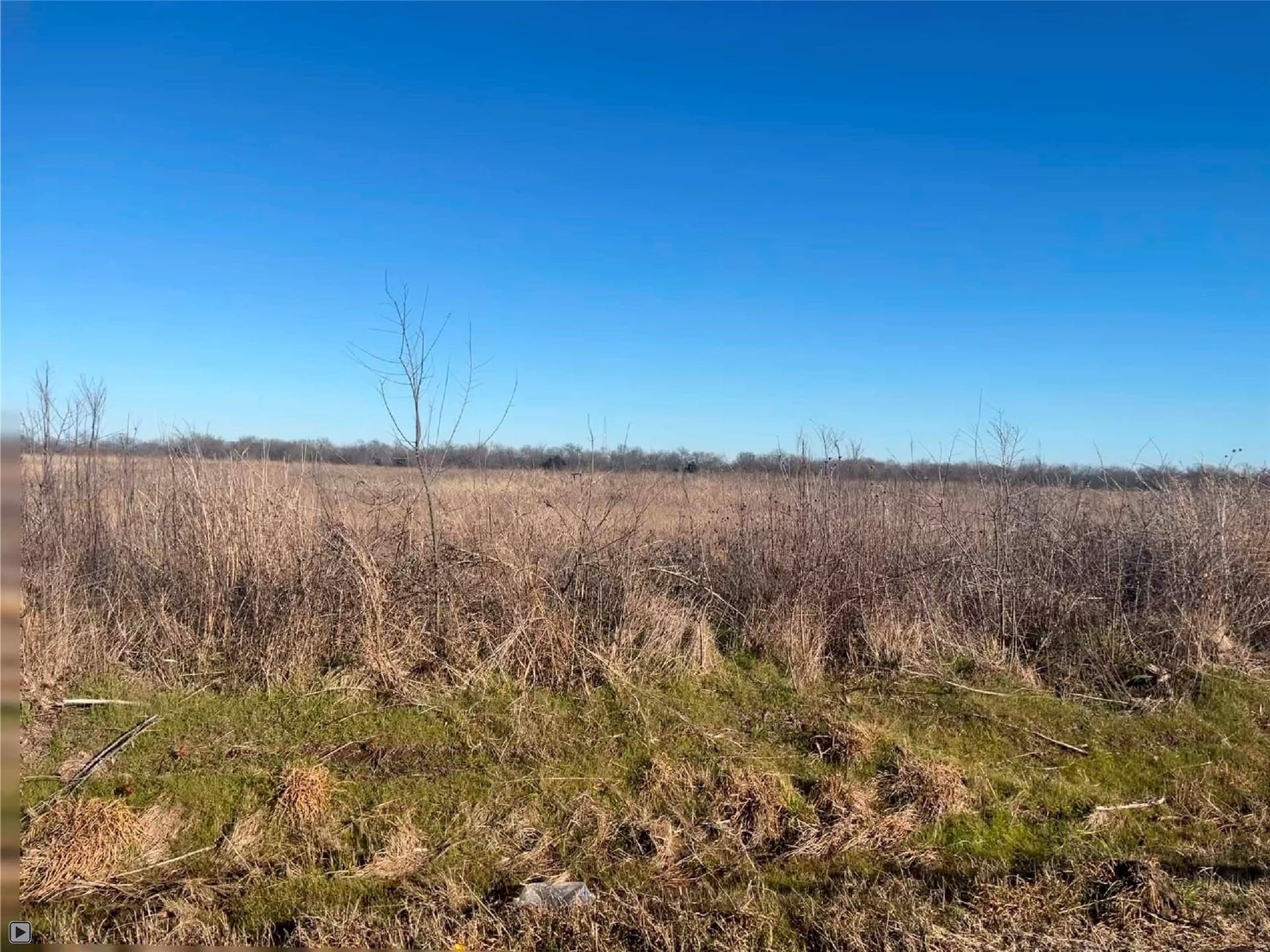 3.88 acres in Hunt County gallery image 2