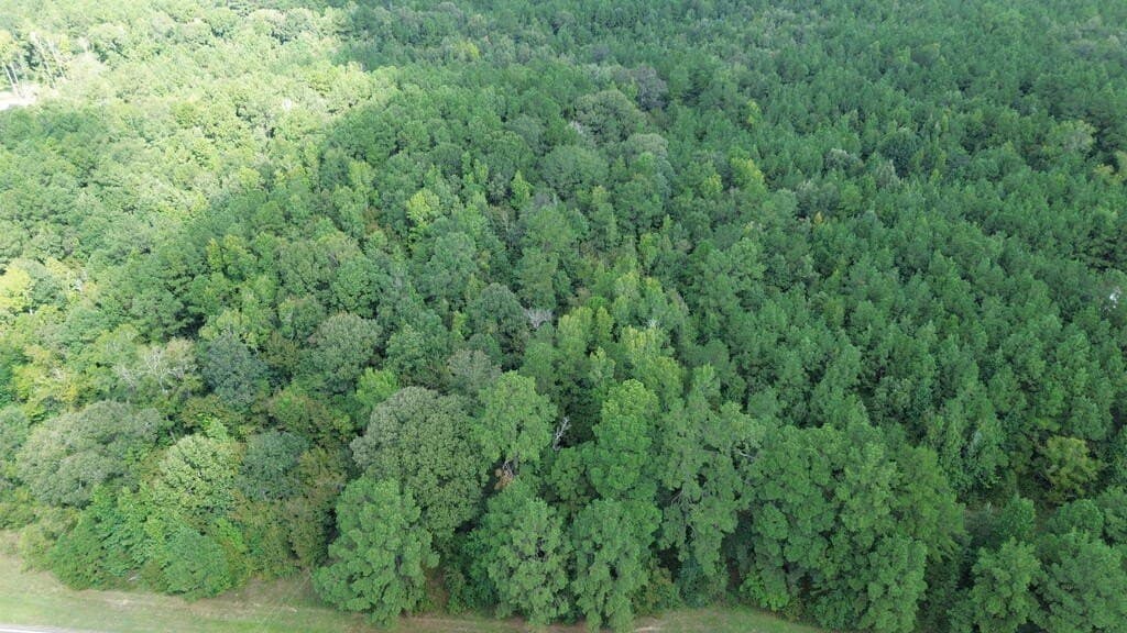 4.85 acres in Texas County - photo 10