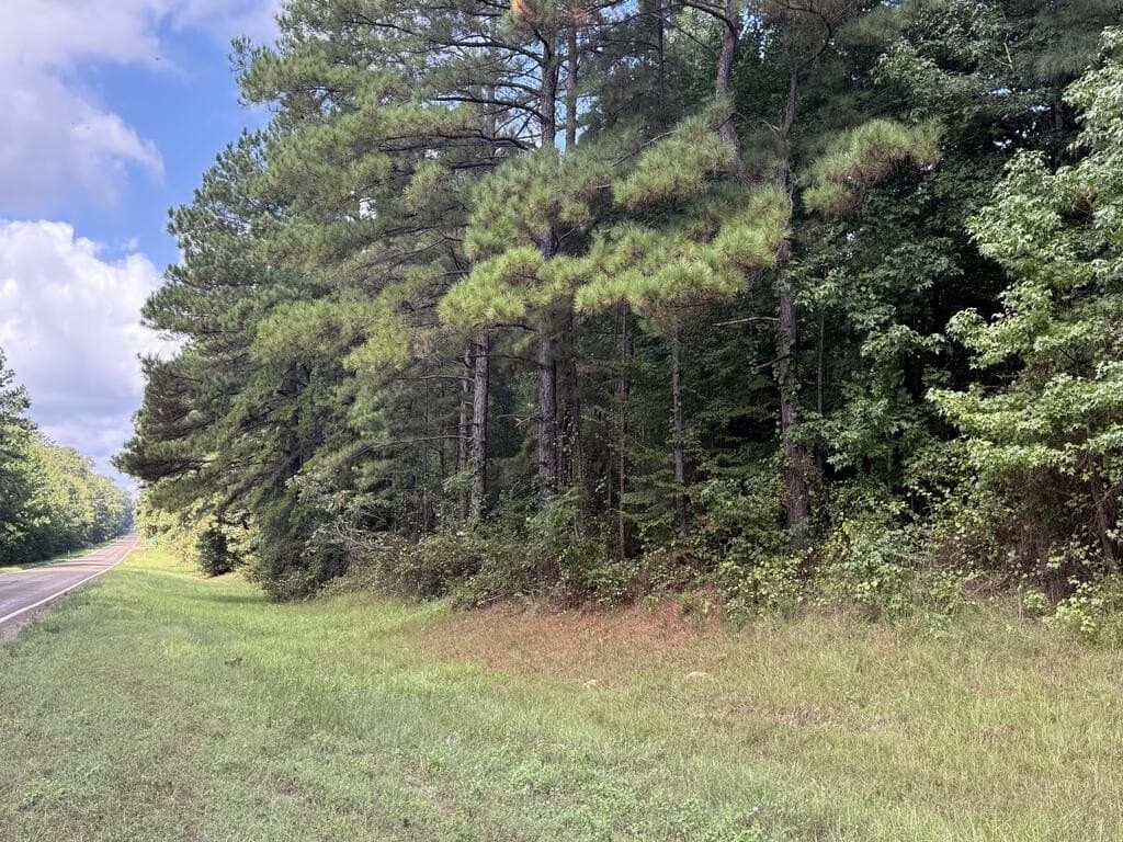 4.85 acres in Texas County - photo 2