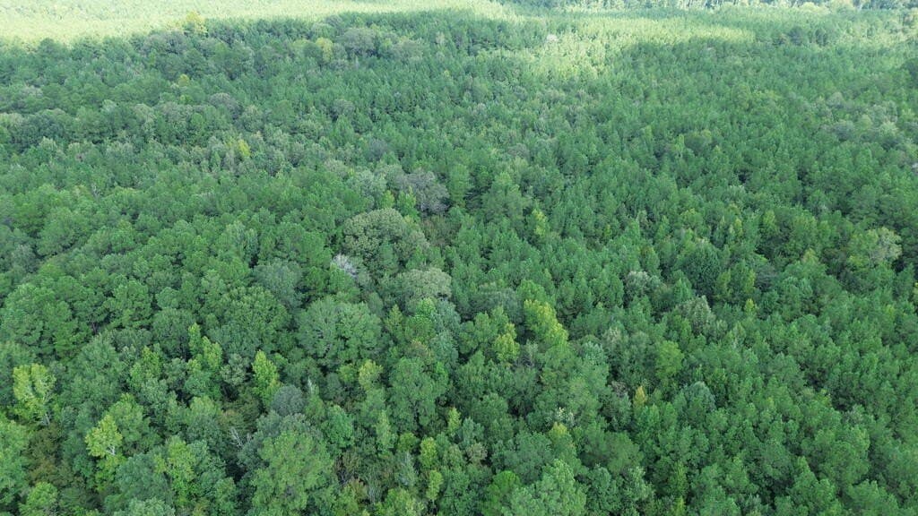 4.85 acres in Texas County - photo 11