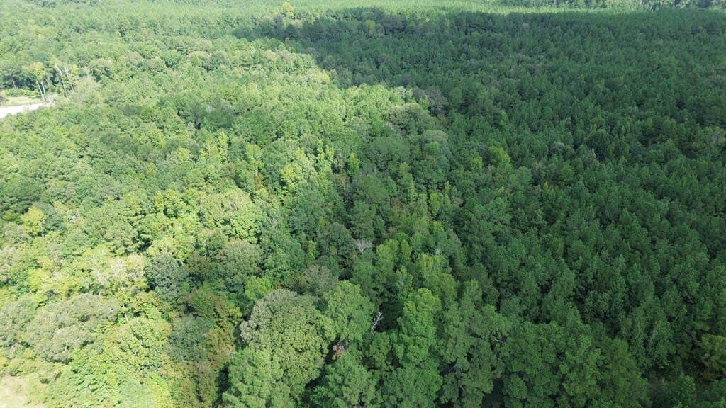 4.85 acres in Texas County - photo 9