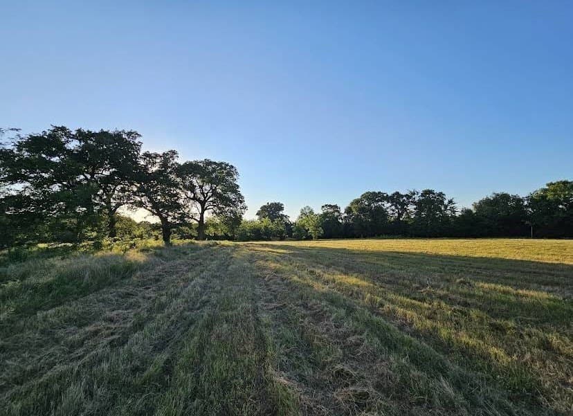 5 acres in Hopkins County - photo 6