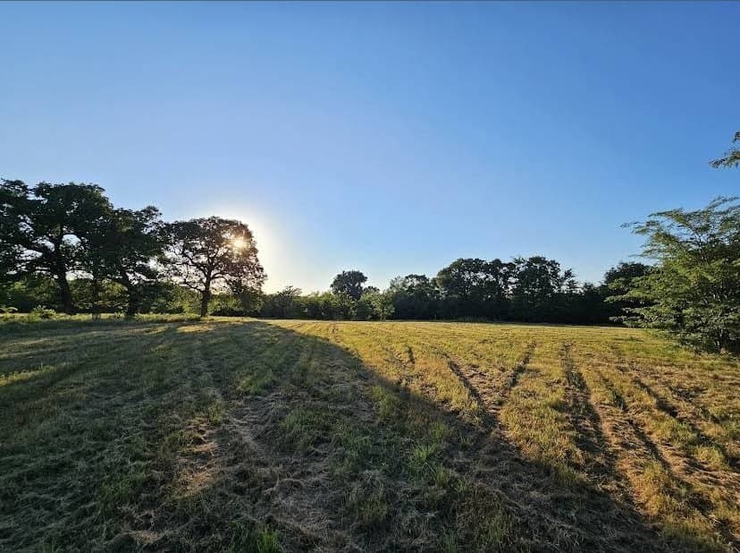 5 acres in Hopkins County gallery image 4
