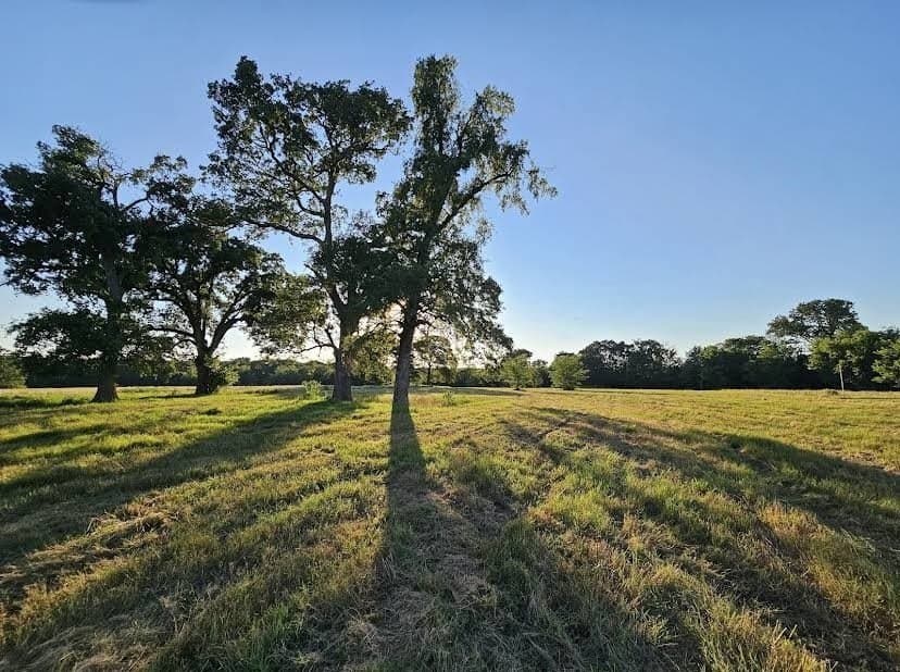 5 acres in Hopkins County