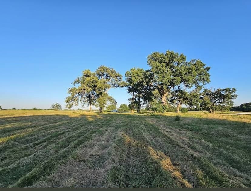 5 acres in Hopkins County gallery image 3