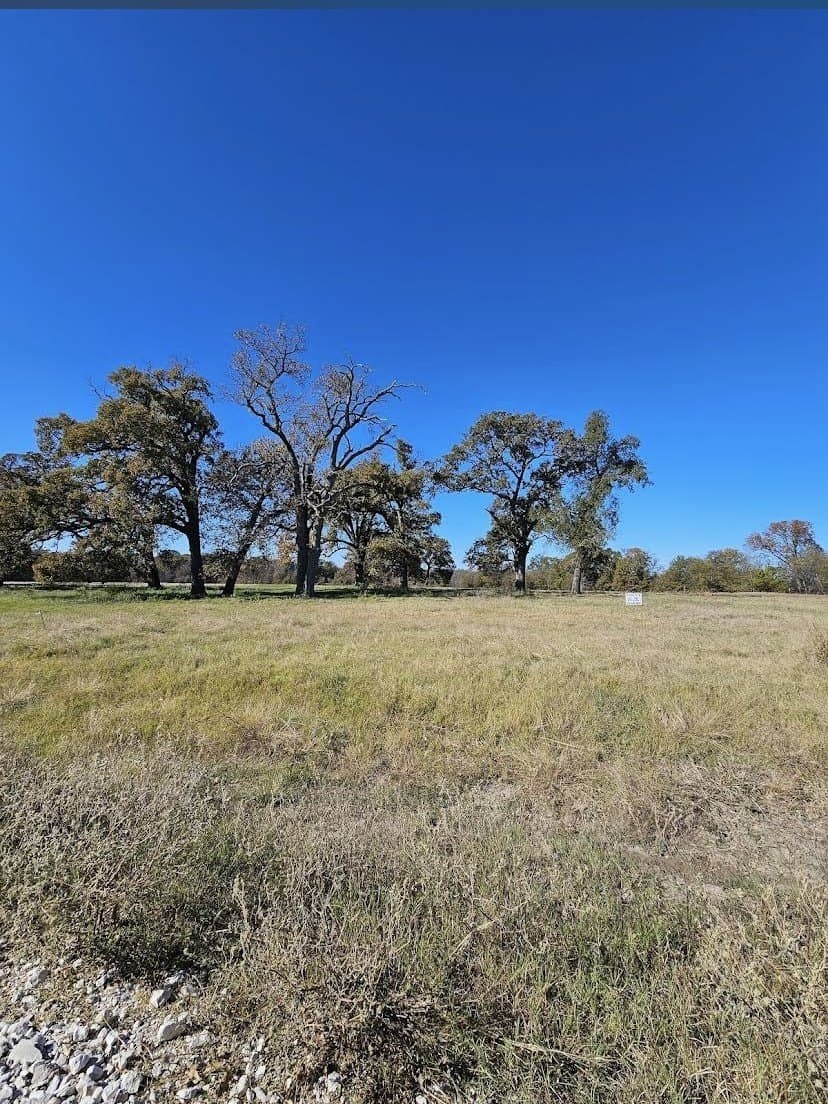 5 acres in Hopkins County gallery image 2