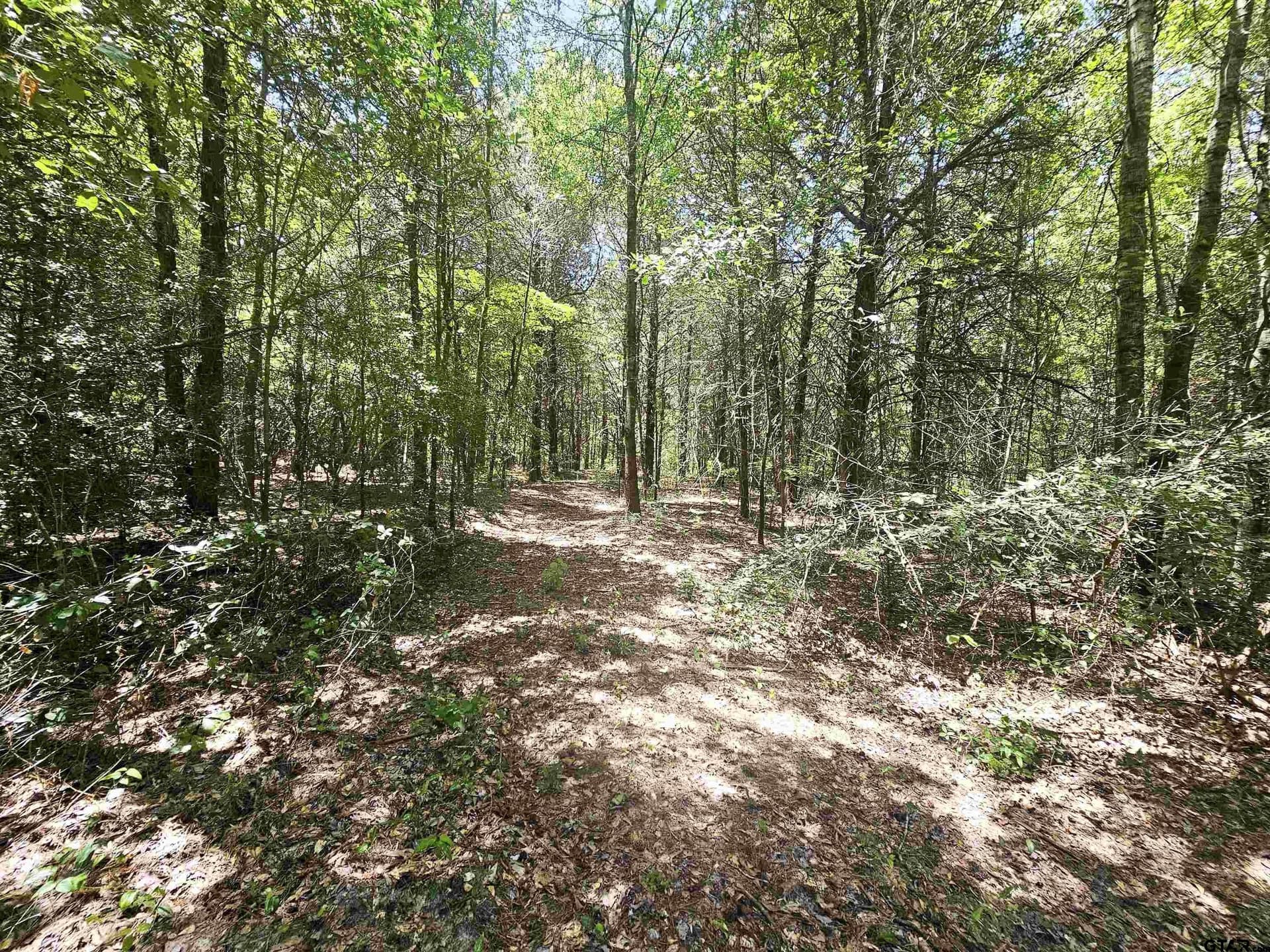 30 acres in Wood County - photo 27