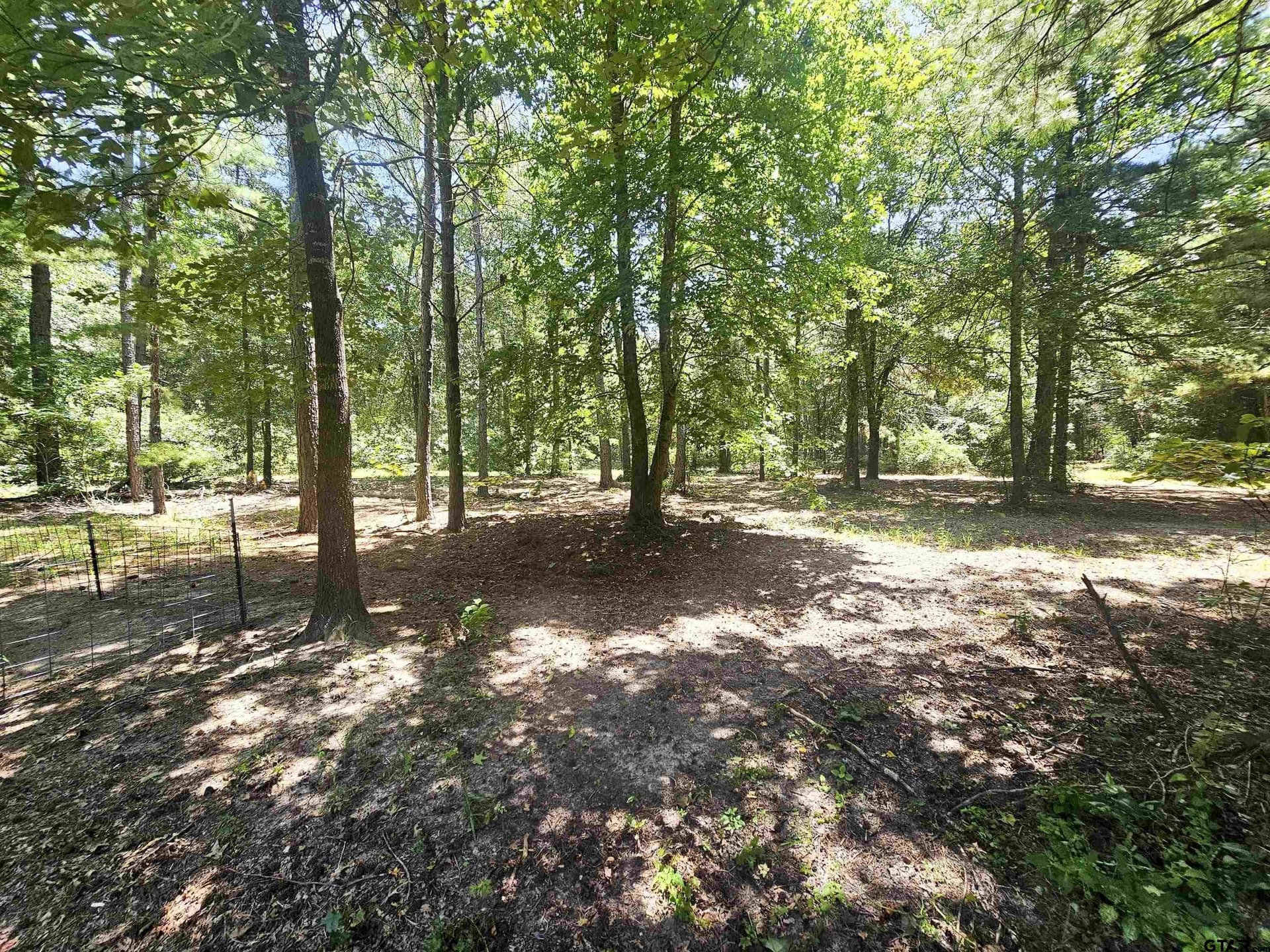 30 acres in Wood County - photo 31
