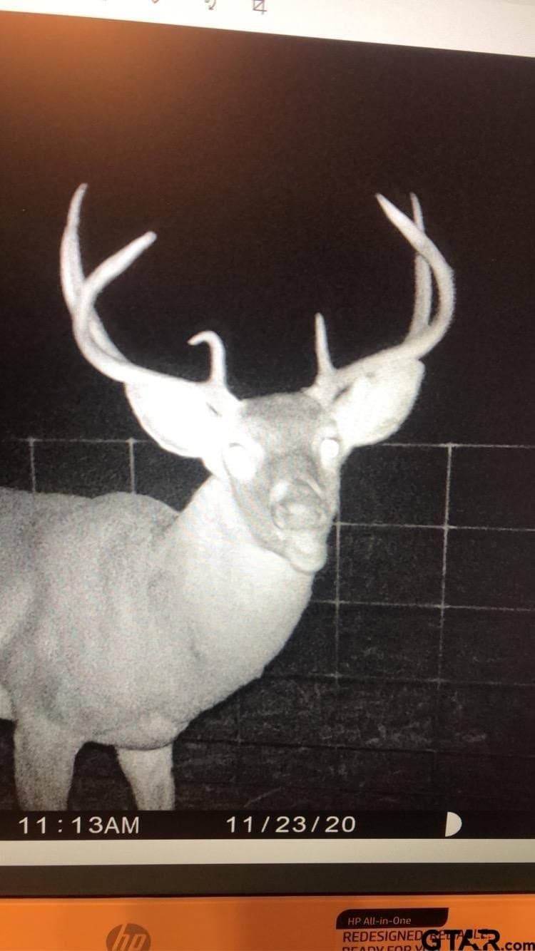 30 acres in Wood County - photo 33