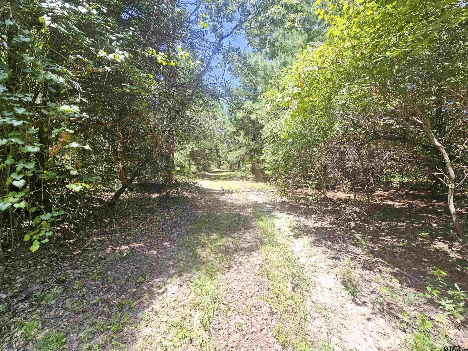 30 acres in Wood County - photo 26