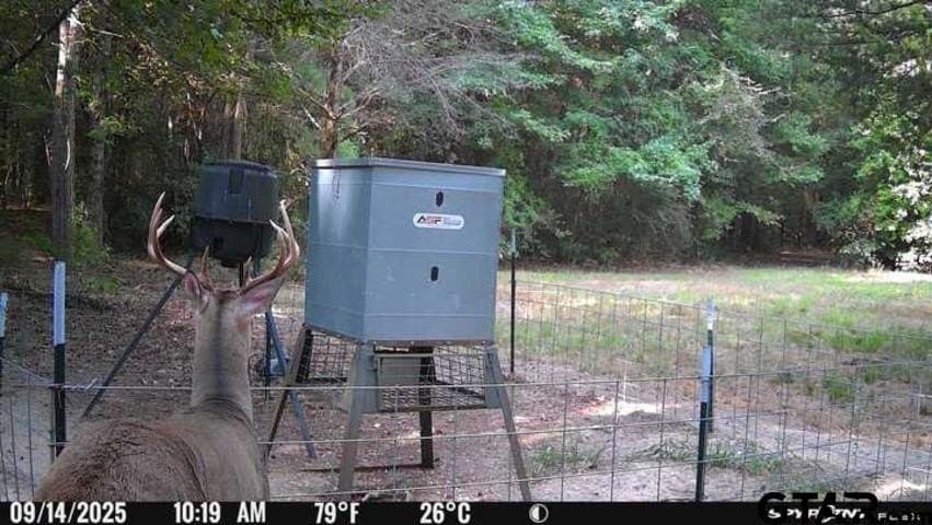 30 acres in Wood County - photo 34