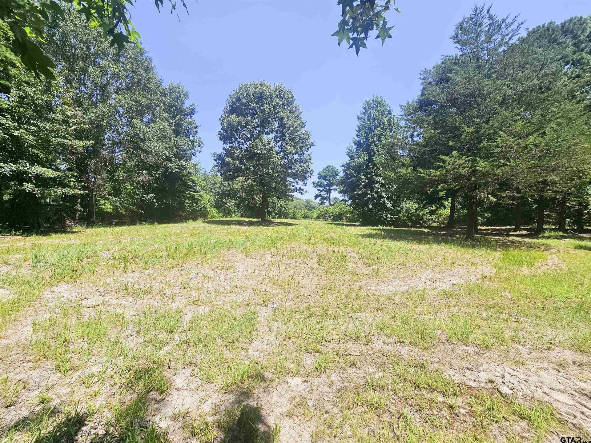 30 acres in Wood County - photo 29