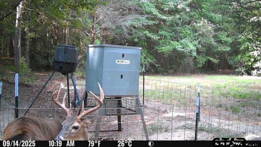 30 acres in Wood County - photo 35