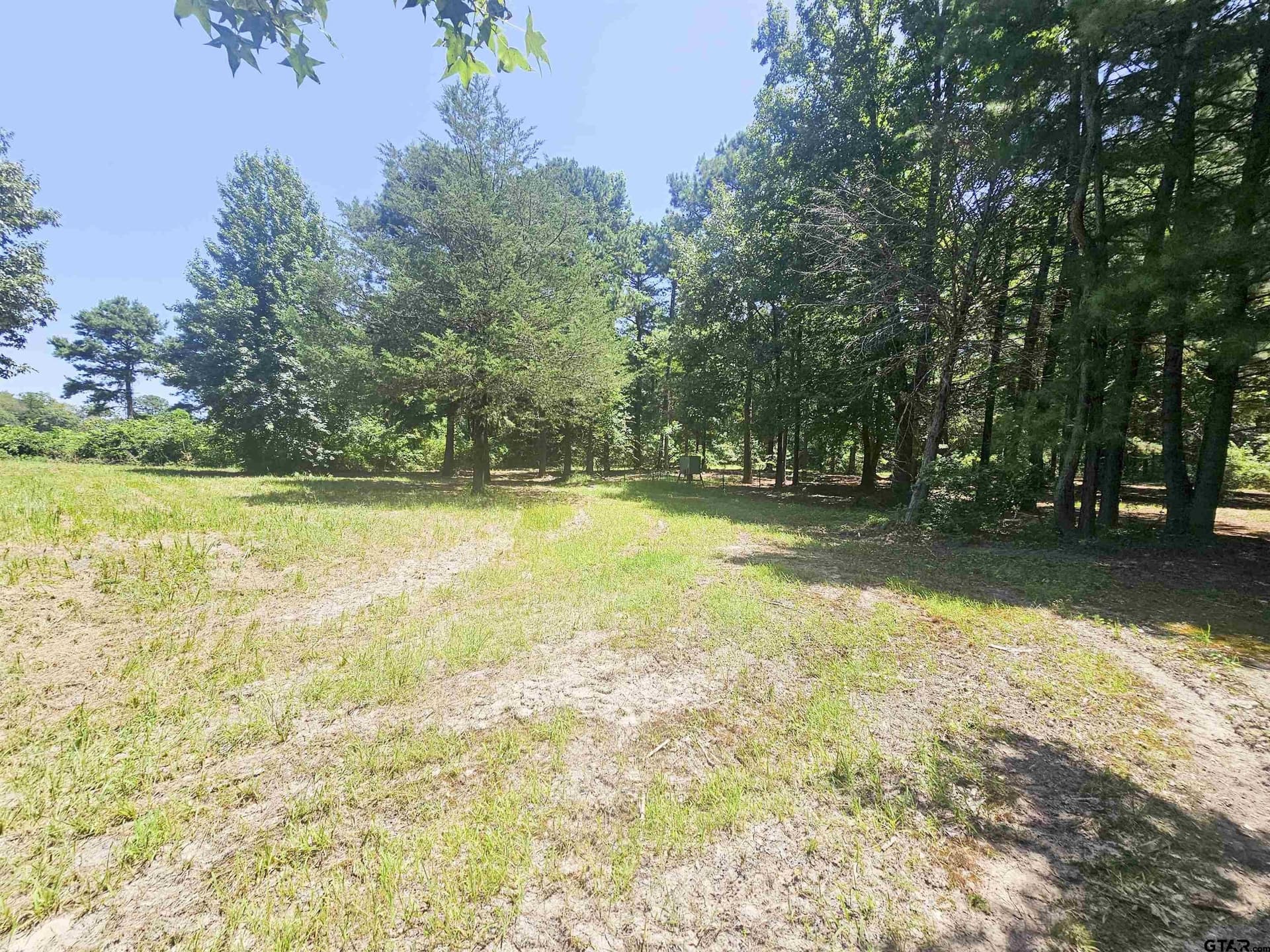 30 acres in Wood County - photo 30