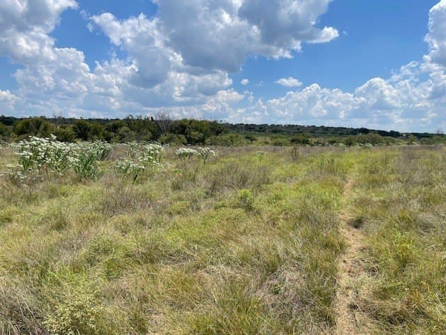 11.95 acres in Comanche County gallery image 4