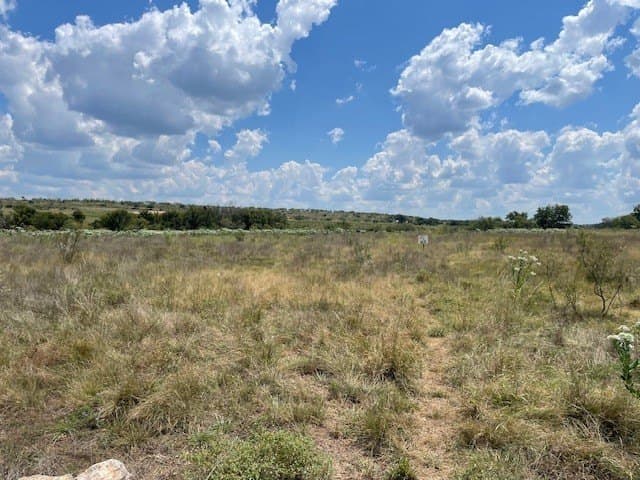 11.95 acres in Comanche County gallery image 3
