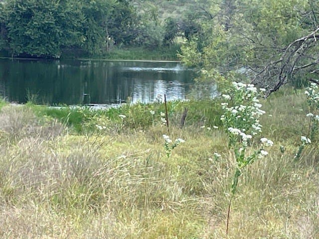 11.95 acres in Comanche County - photo 6