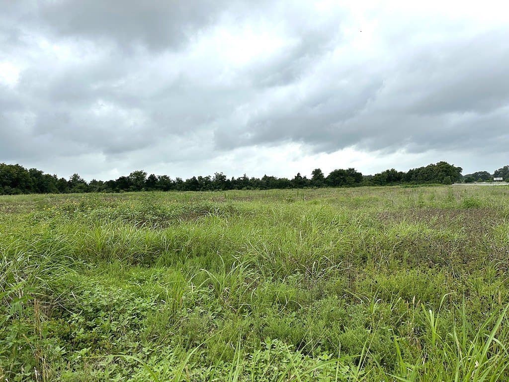 8 acres in Fayette County featured view