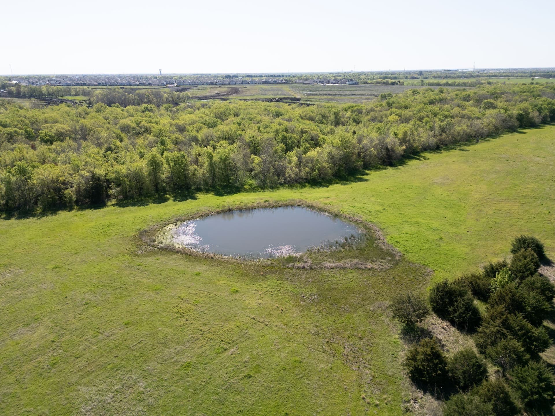 42 acres in Collin County - photo 3