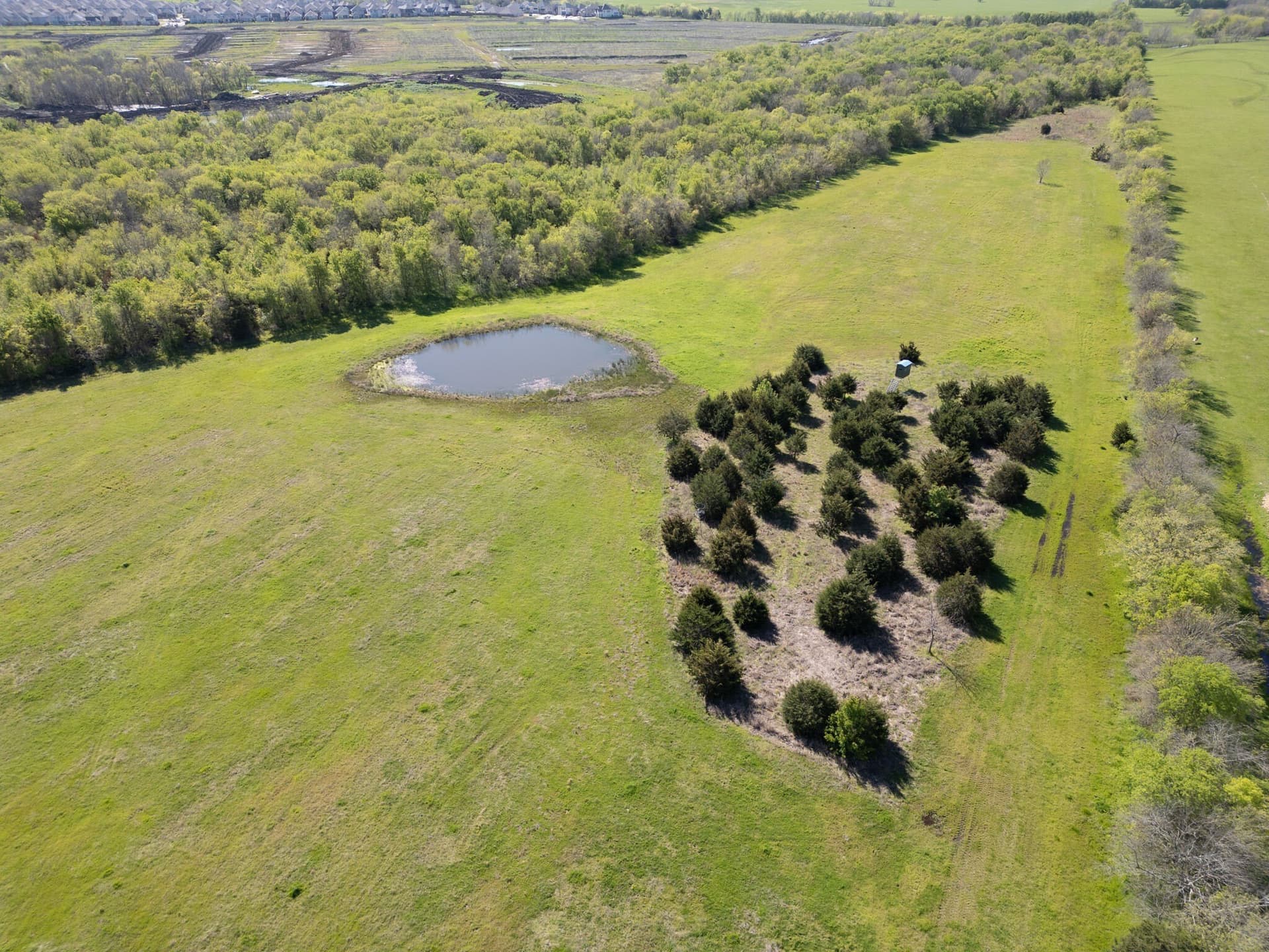 42 acres in Collin County - photo 4
