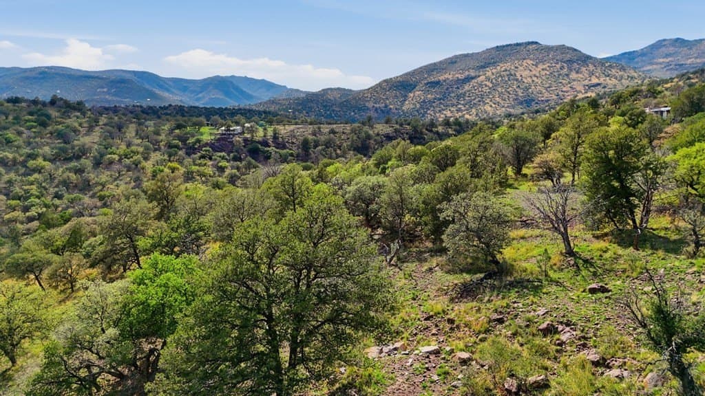 20.01 acres in Jeff Davis County gallery image 2