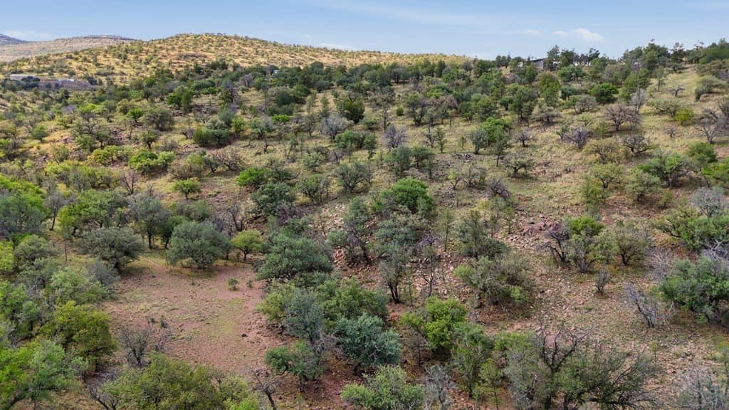 20.01 acres in Jeff Davis County - photo 24