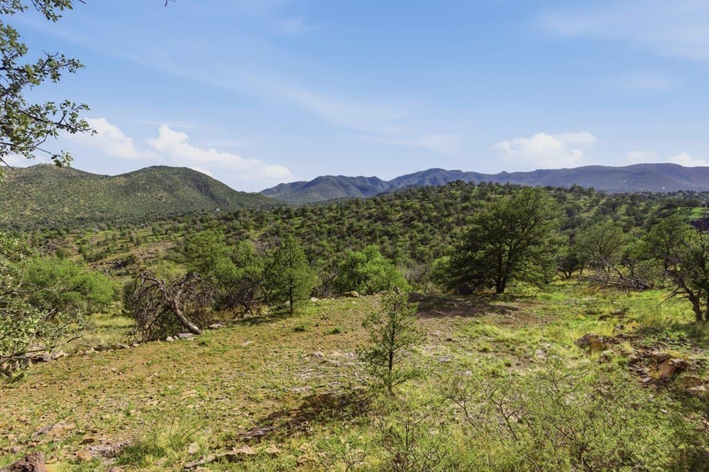 20.01 acres in Jeff Davis County gallery image 3