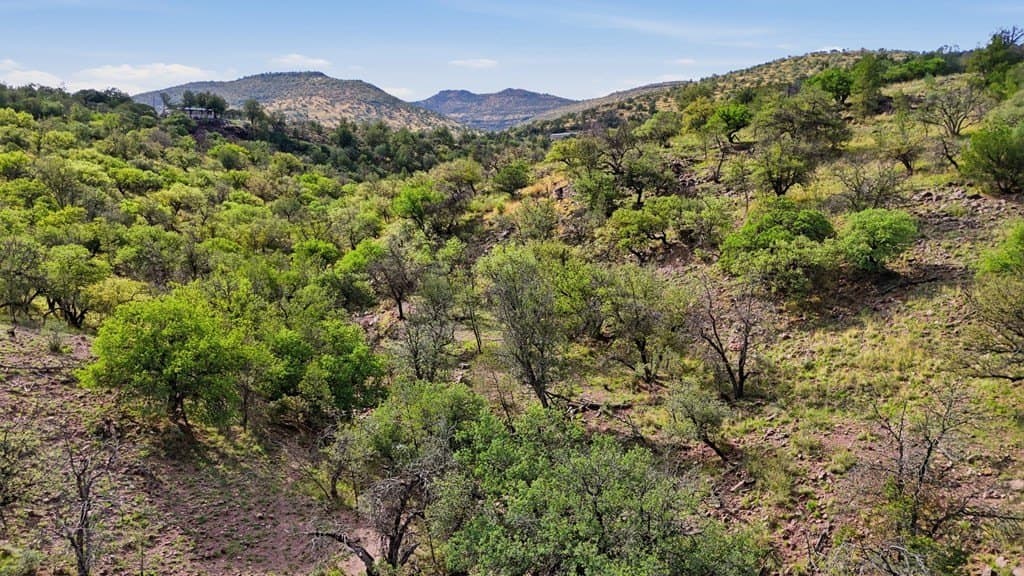 20.01 acres in Jeff Davis County - photo 25