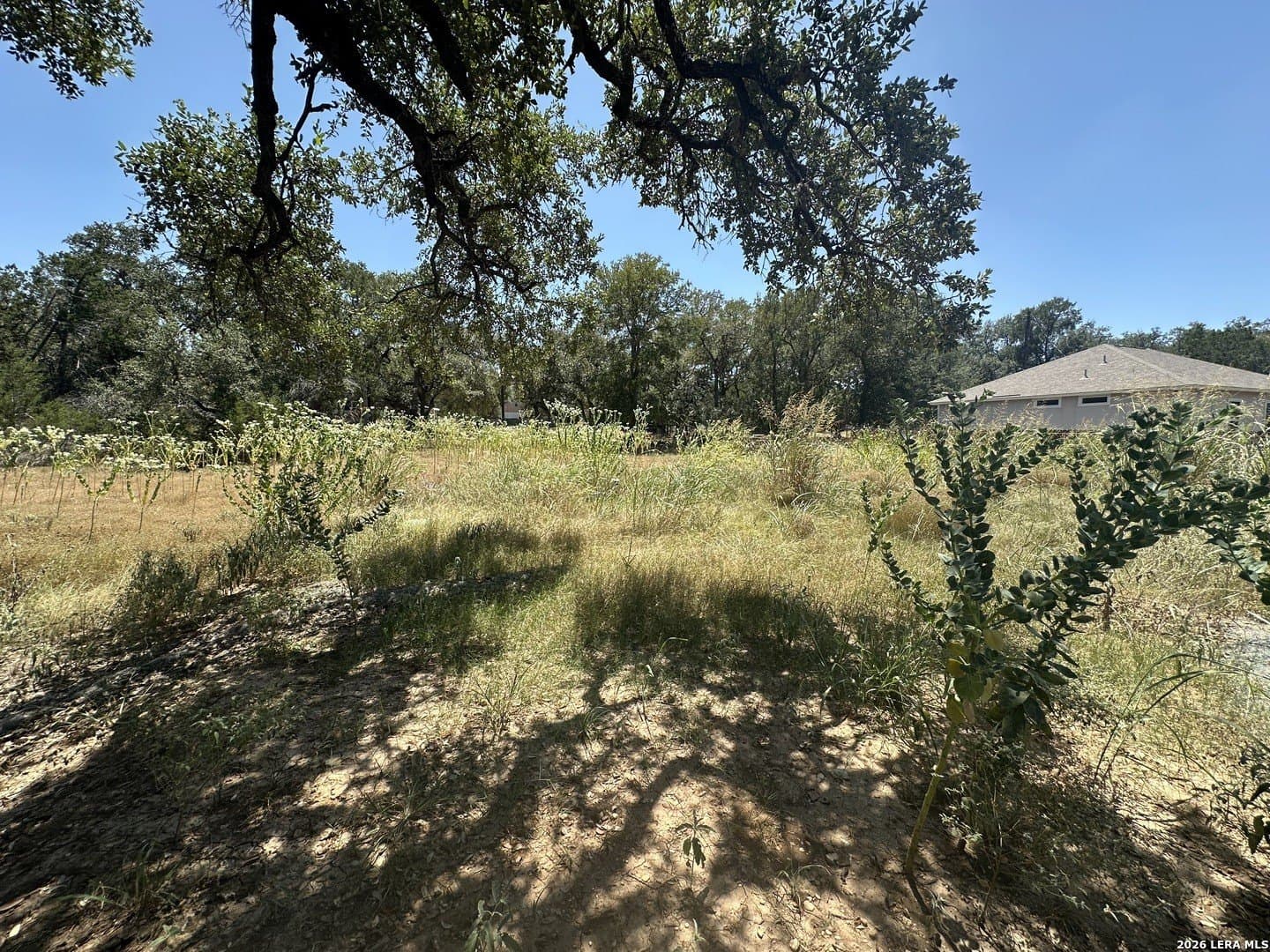 0.26 acres in Comal County - photo 2