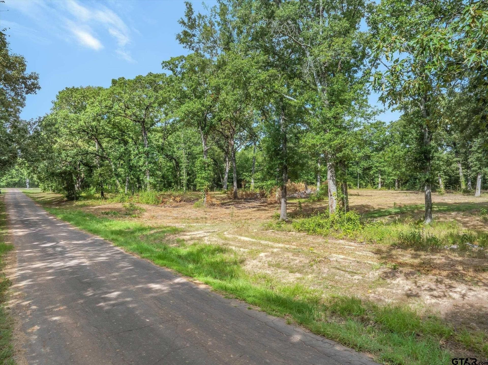 2.91 acres in Wood County gallery image 3