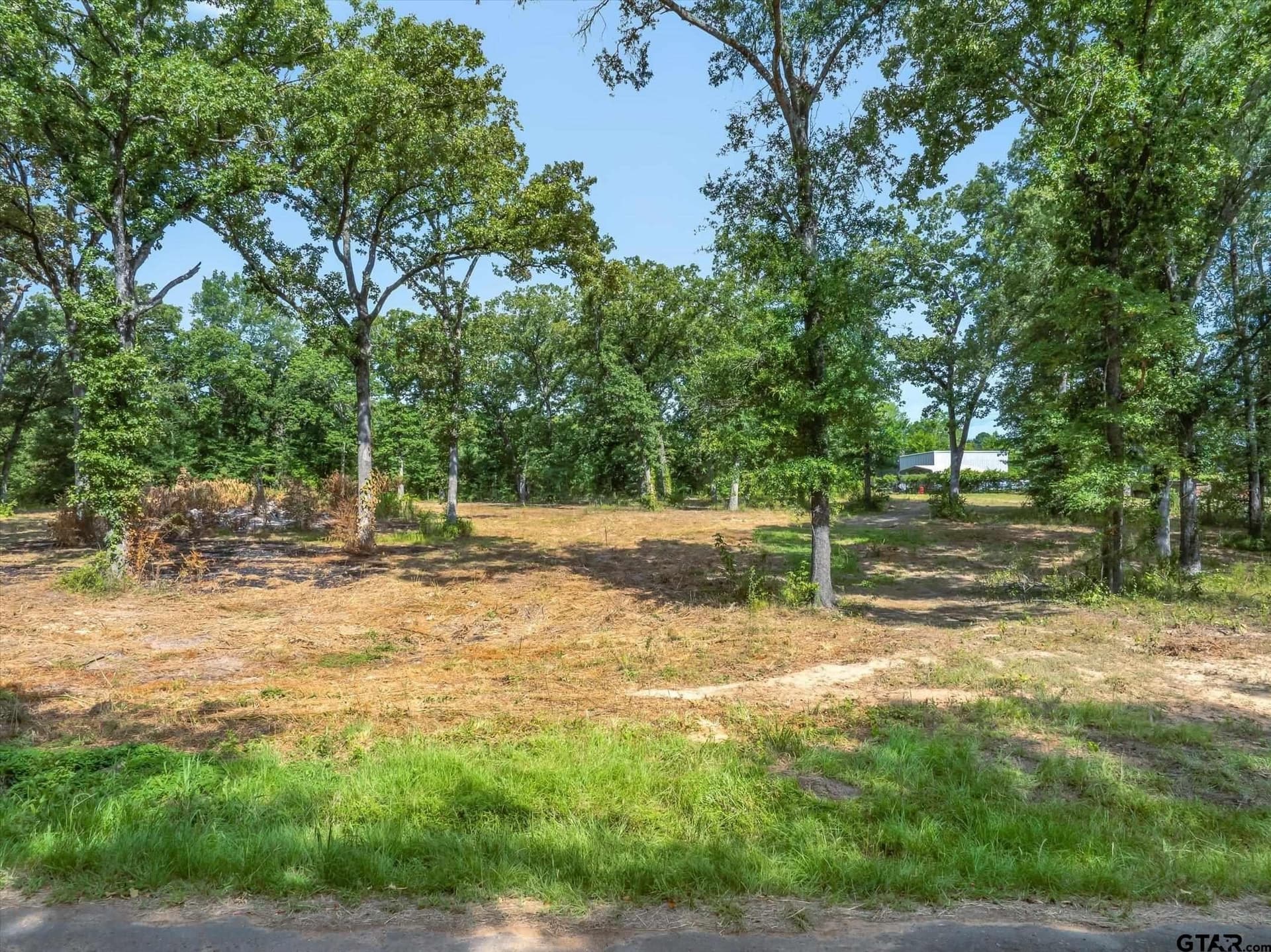 2.91 acres in Wood County gallery image 2